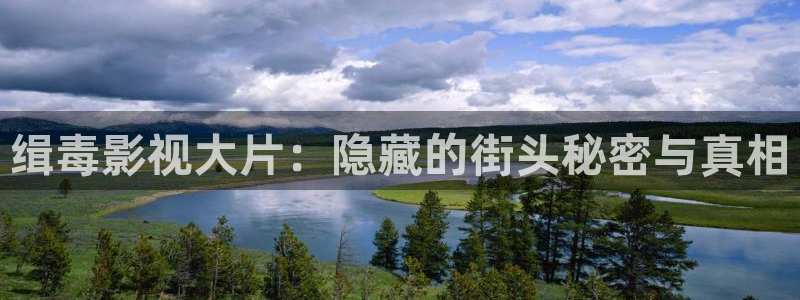 西瓜音影