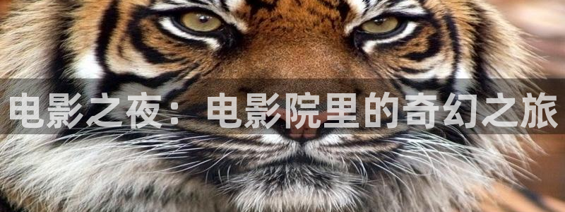 西瓜影院亚洲