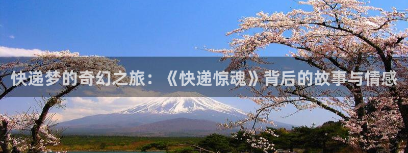 红楼梦87版在线观看西瓜