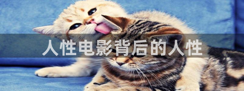西瓜影院520