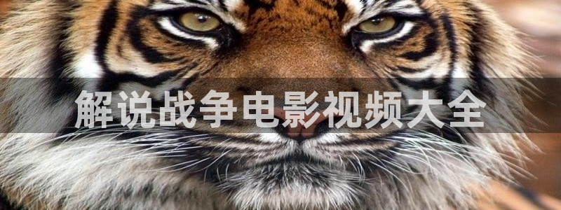 西瓜电影院在线观看电视剧