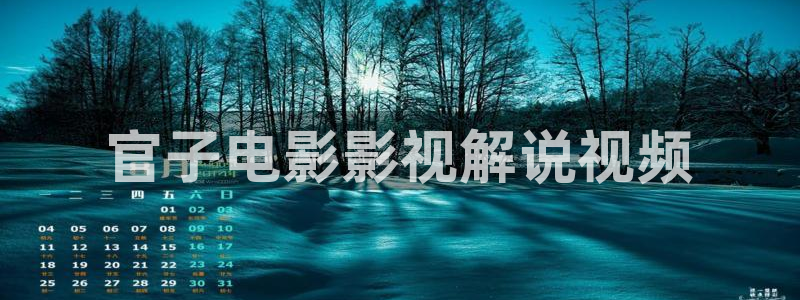 飘雪电影西瓜