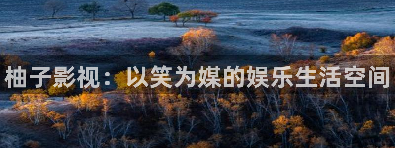 2025最新电影西瓜天狼影视在线观看