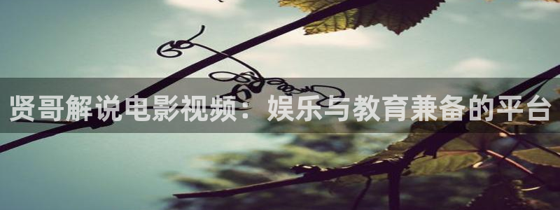 到西瓜视频