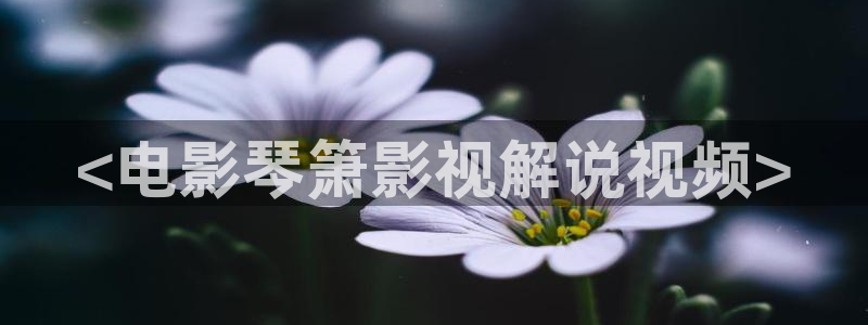 免费看西瓜电影
