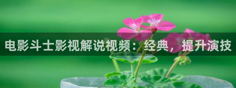 西瓜妹妹在线观看电视剧免费高清