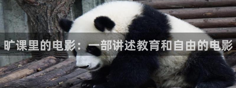 www.西瓜影院
