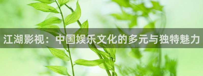 西瓜免费观看在线高清电视剧