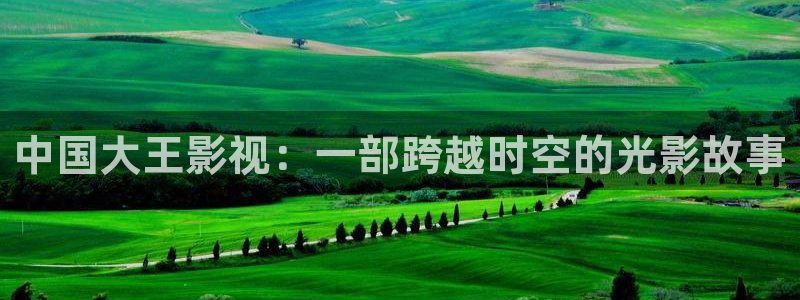 西瓜 电影