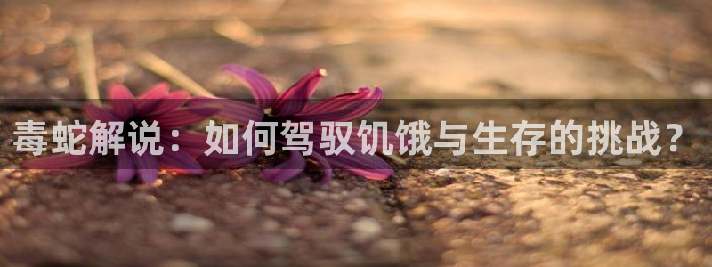 2021最新电影西瓜电影