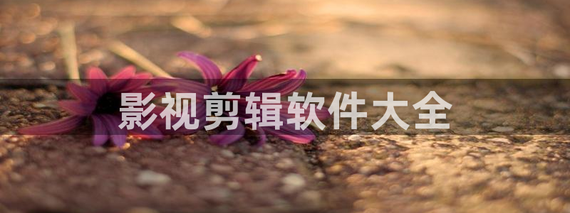 西瓜电影伦理片
